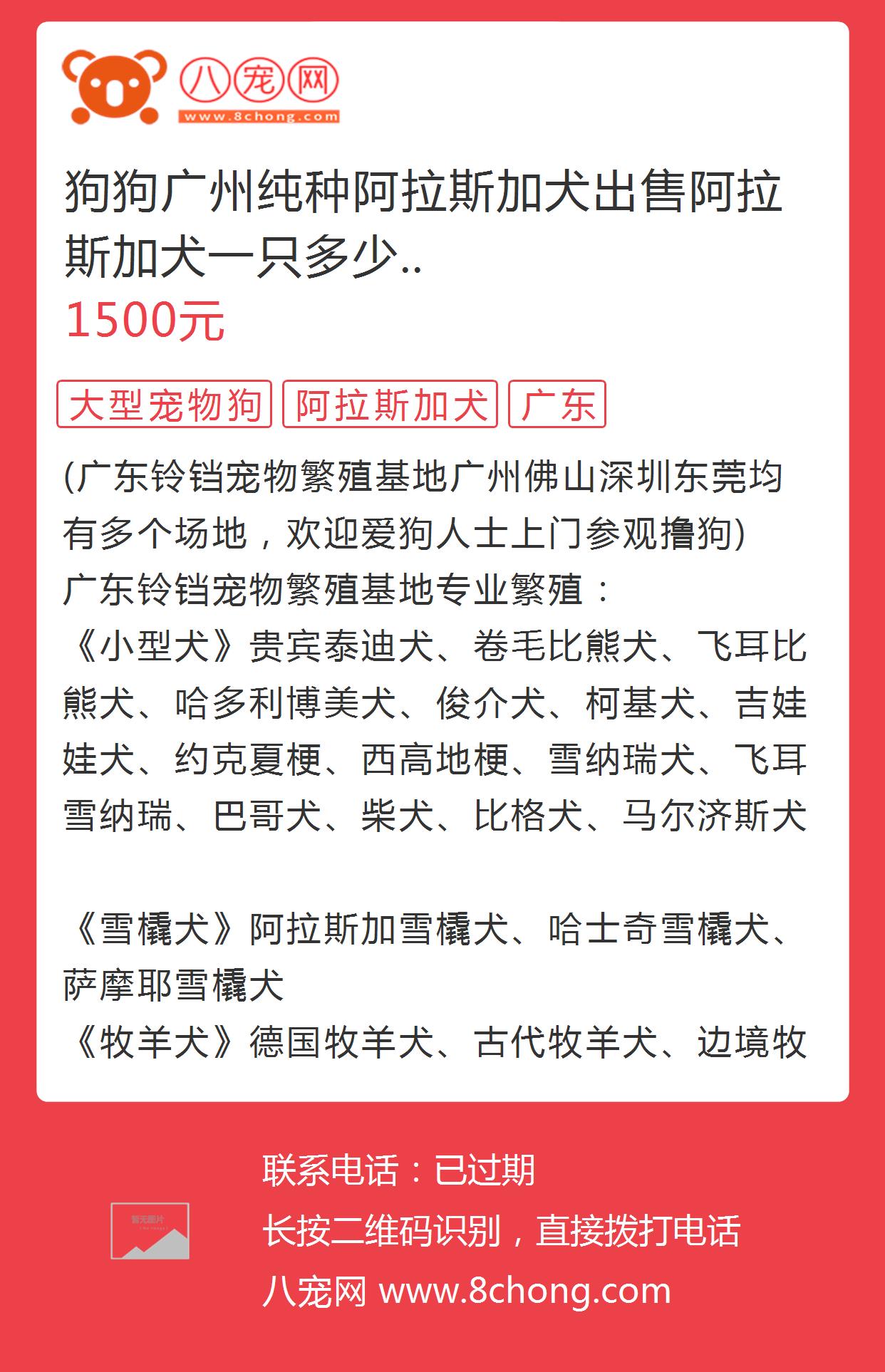 哪里出售阿拉斯加