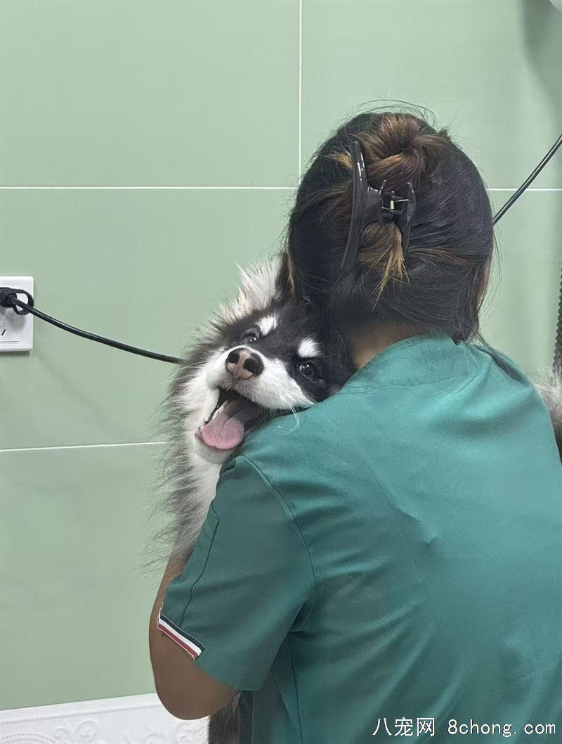 工作没有时间养